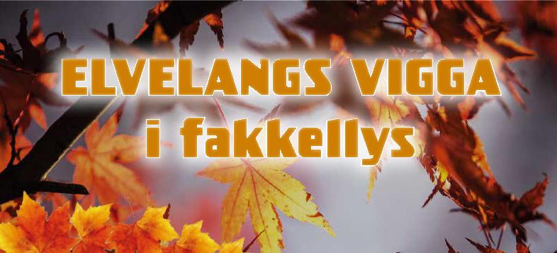 Bilde/illustrasjon for INVITASJON TIL DELTAGELSE PÅ ELVELANGS VIGGA 2025