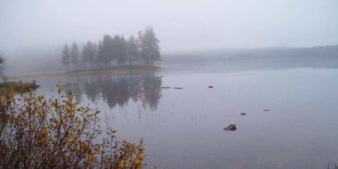Bilde/illustrasjon om Naturvernforbundet Gran og Lunner